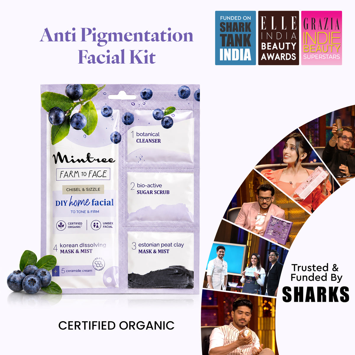 FIRMING DIY Home Facial Kit (Blueberry)