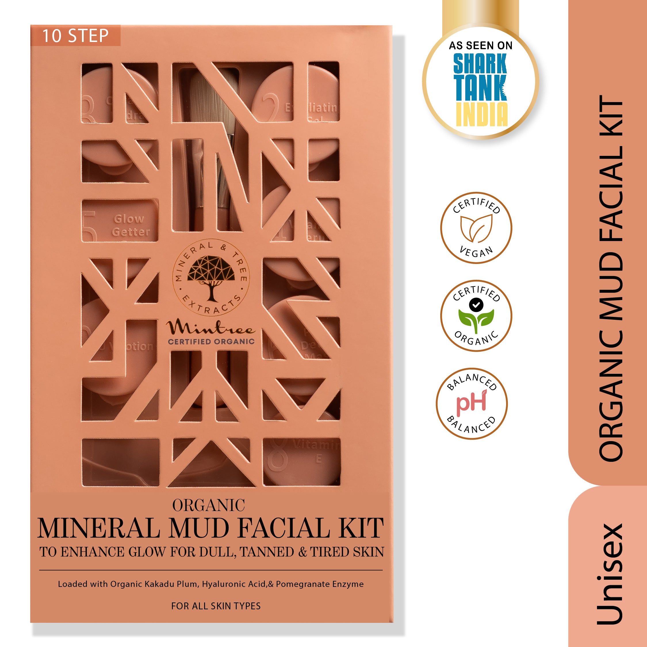FACIAL KIT MINERAL MUD