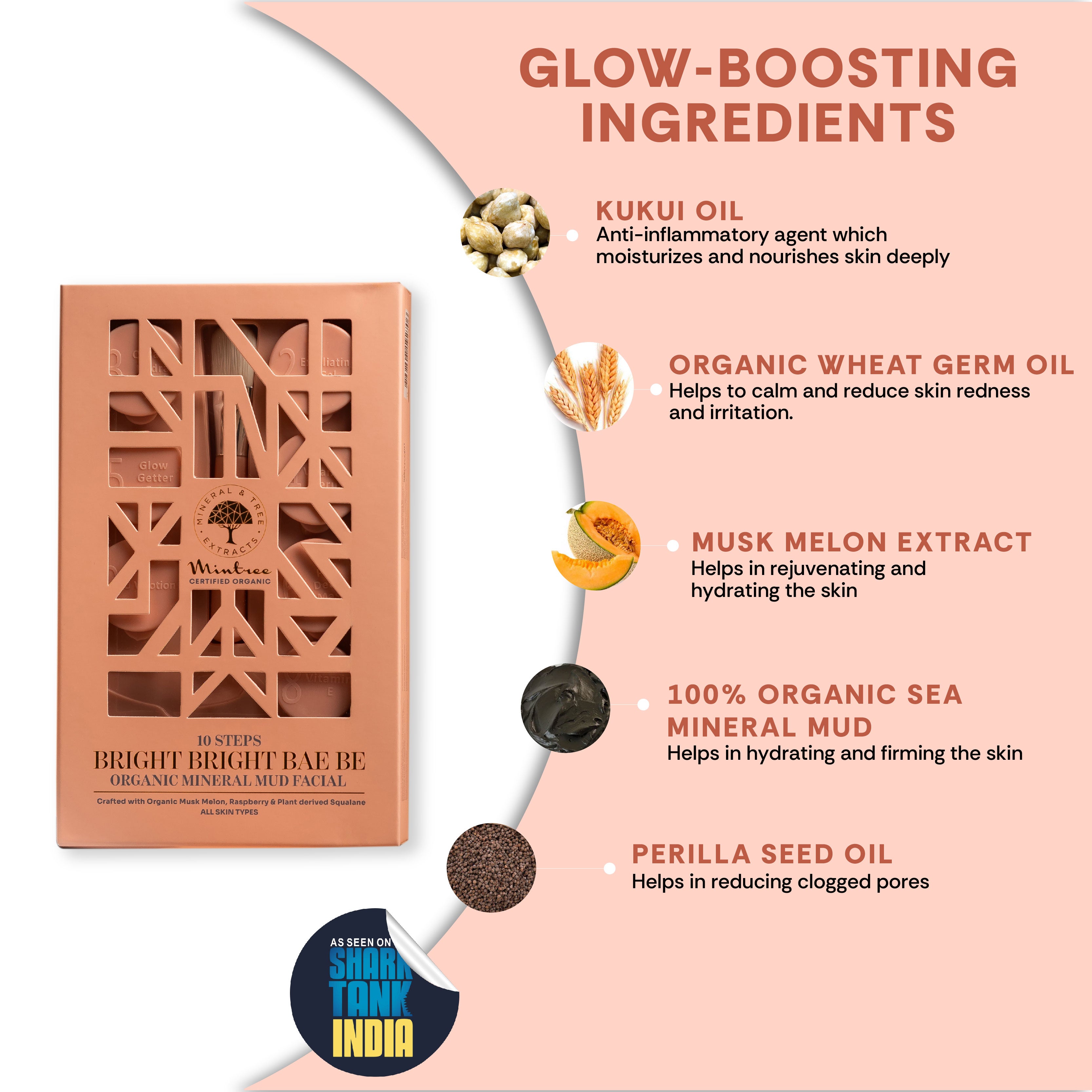 FACIAL KIT MINERAL MUD