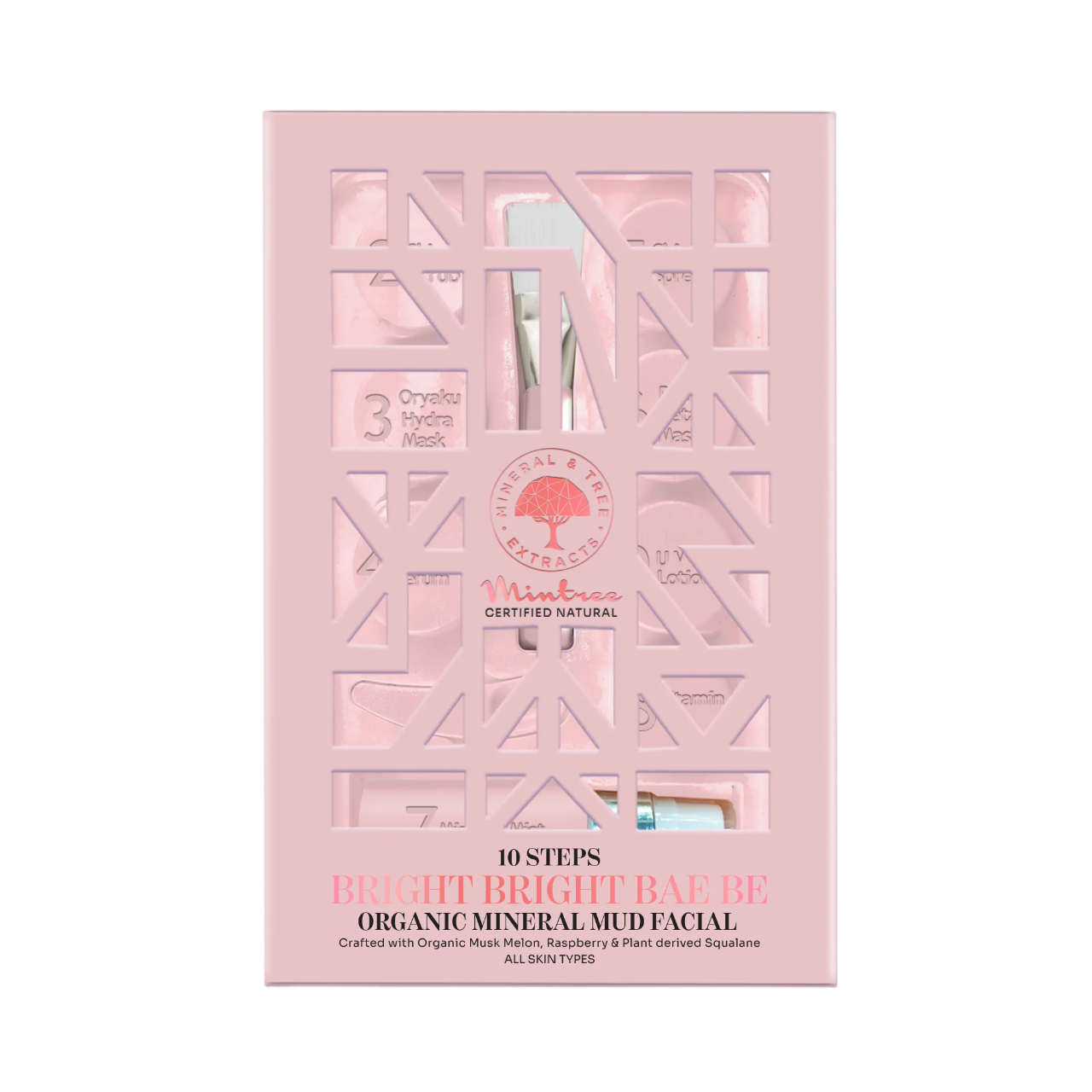 FACIAL KIT MINERAL MUD