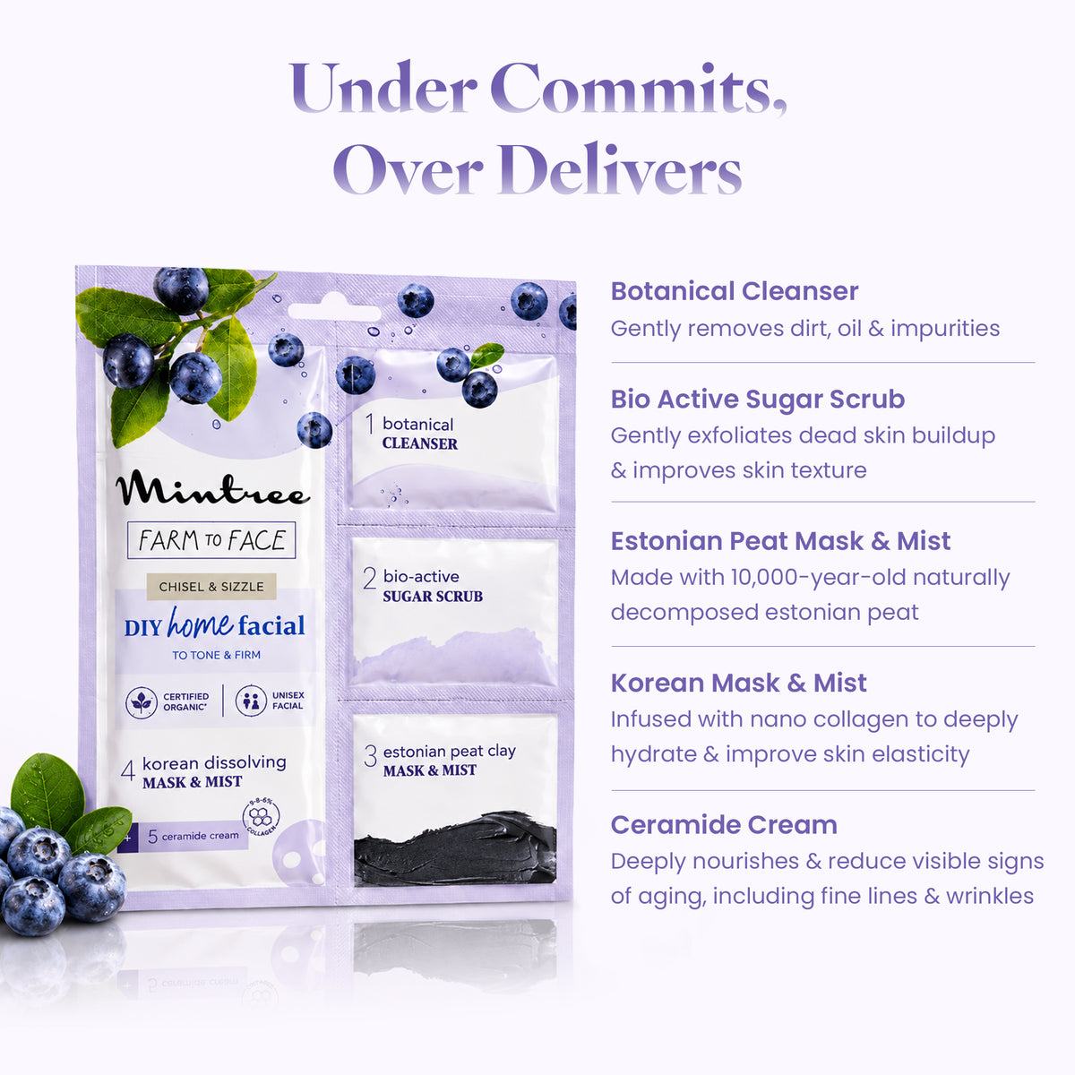 FIRMING DIY Home Facial Kit (Blueberry)