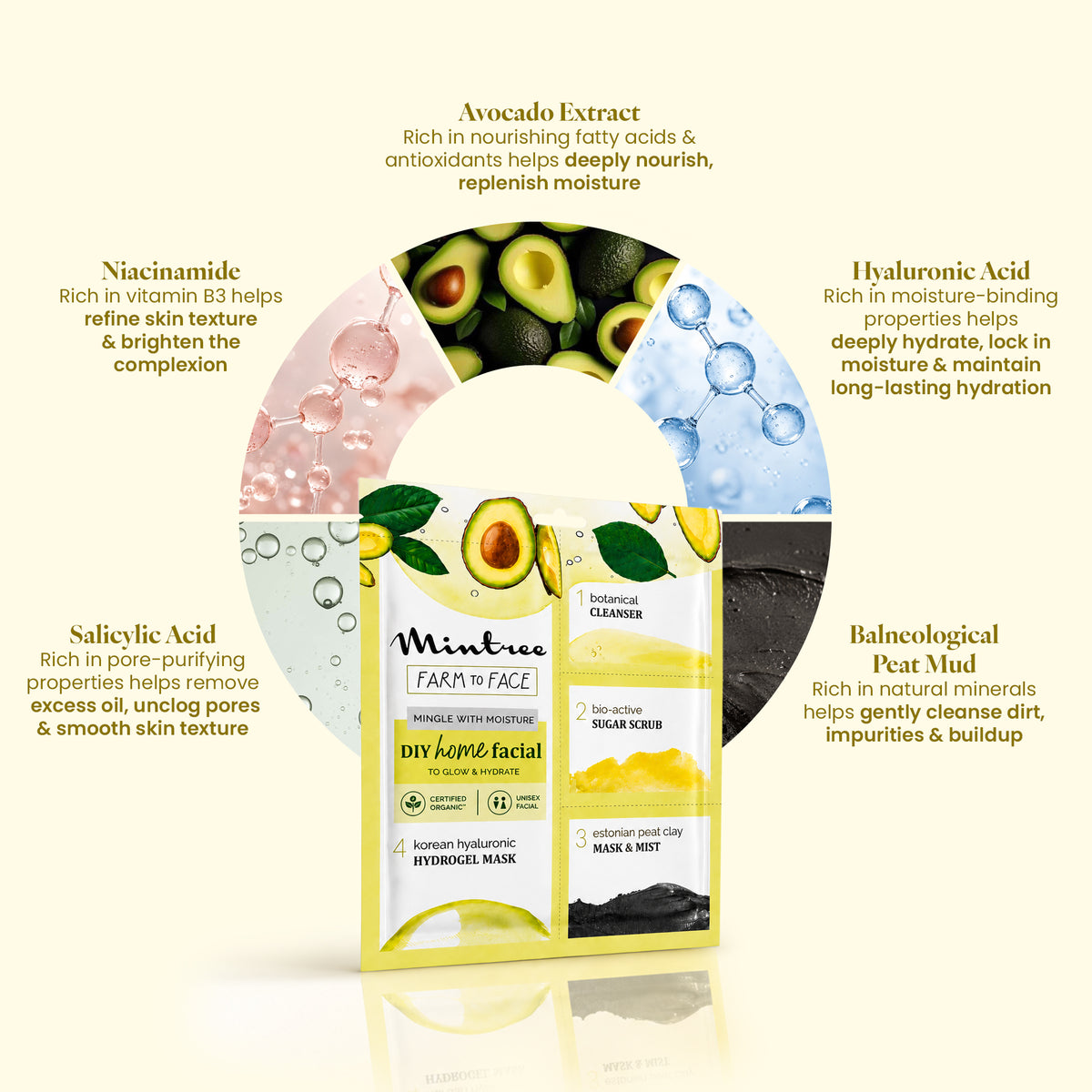 Hydrating DIY Home Facial Kit (Avocado)