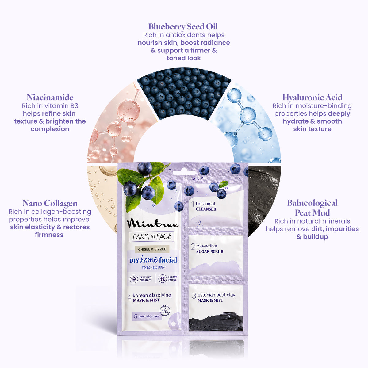 FIRMING DIY Home Facial Kit (Blueberry)