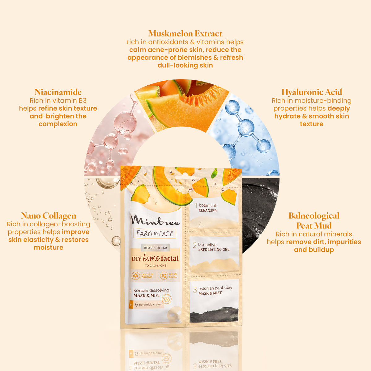 CALMING DIY Home Facial (Muskmelon)