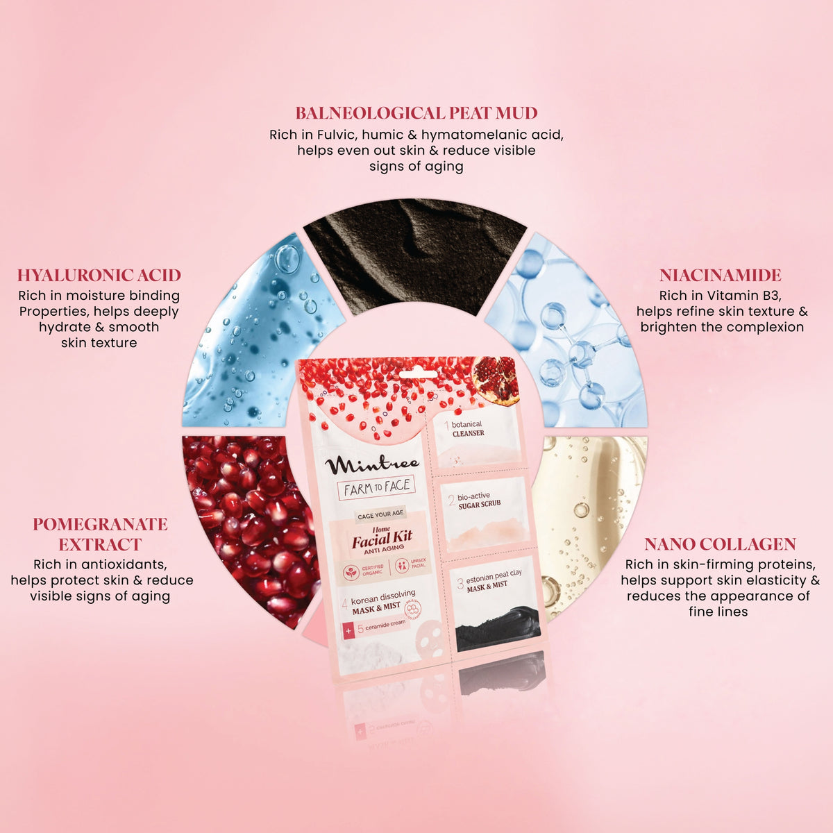 ANTI-AGING DIY Home Facial (Pomegranate)