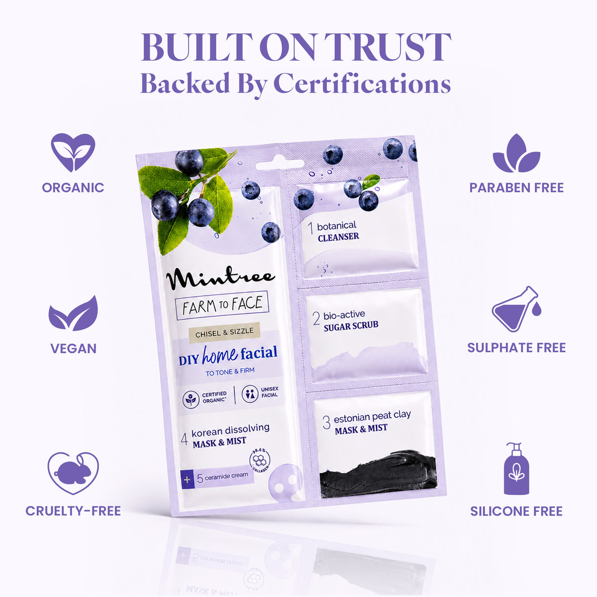FIRMING DIY Home Facial Kit (Blueberry)