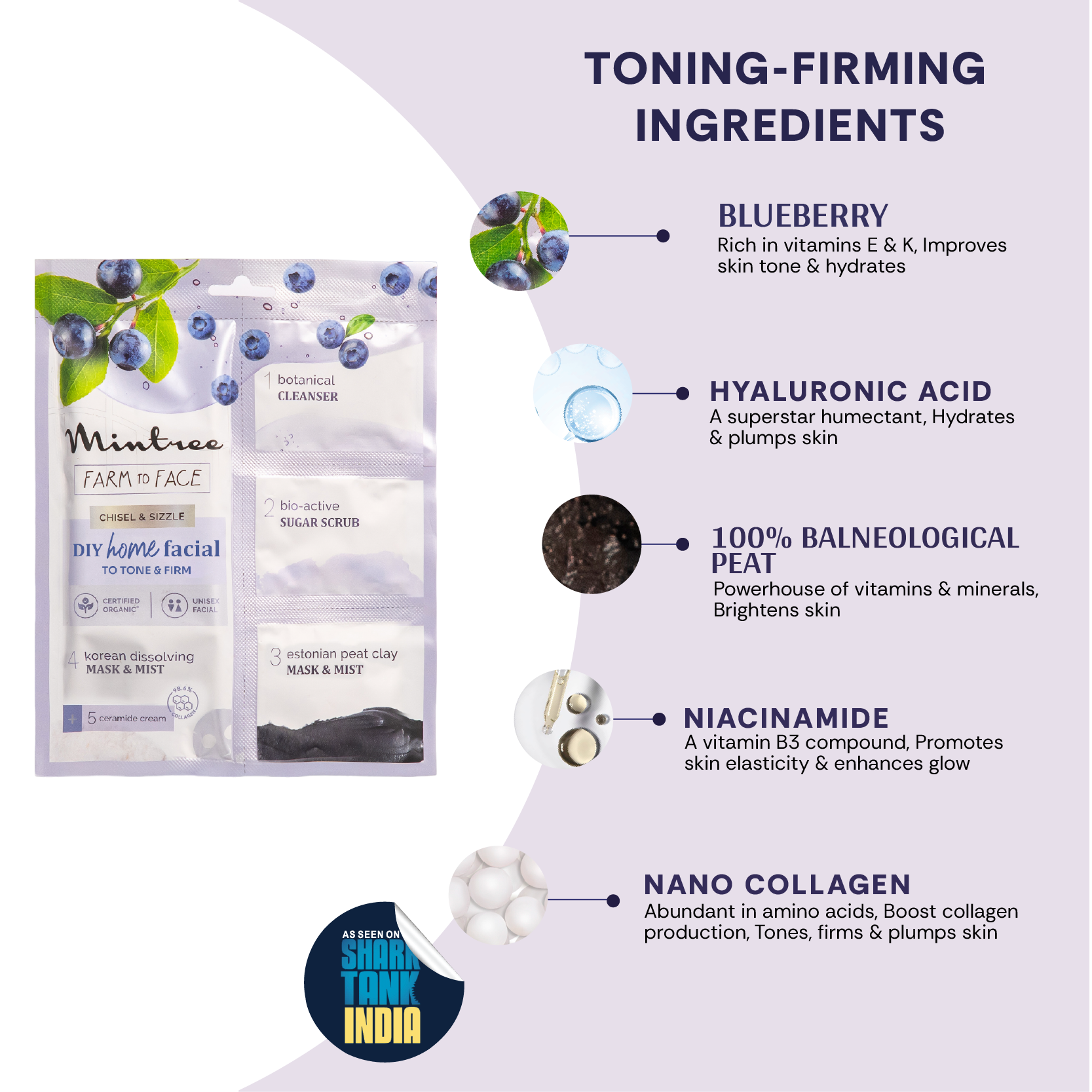 FIRMING DIY Home Facial Kit (Blueberry)